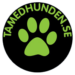 Tamedhunden logotyp - hundvänligt boende på vandrarhem