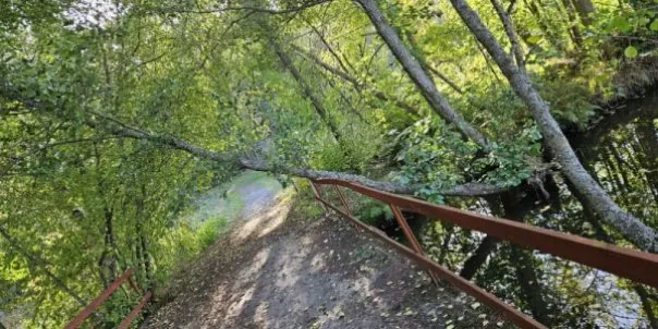 Horsfjärden - På promenad genom skogen